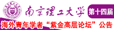 少妇打炮图南京理工大学第十四届海外青年学者紫金论坛诚邀海内外英才！